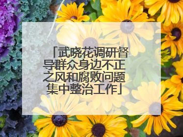 武晓花调研督导群众身边不正之风和腐败问题集中整治工作