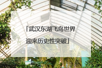 武汉东湖飞鸟世界迎来历史性突破