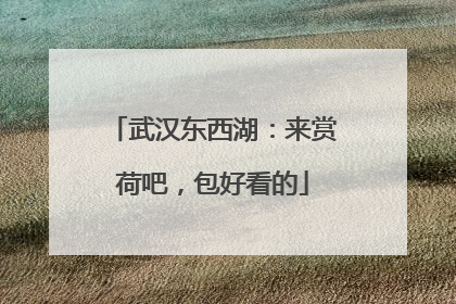 武汉东西湖：来赏荷吧，包好看的