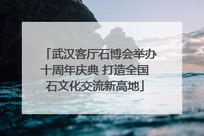 武汉客厅石博会举办十周年庆典 打造全国石文化交流新高地