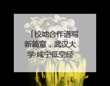 校地合作谱写新篇章，武汉大学·咸宁低空经济创新研究院签约成立