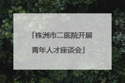 株洲市二医院开展青年人才座谈会