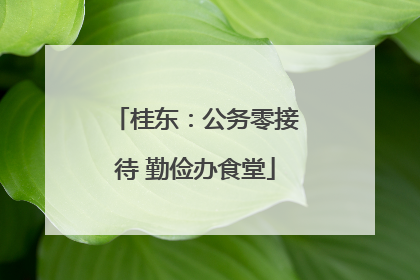 桂东：公务零接待 勤俭办食堂