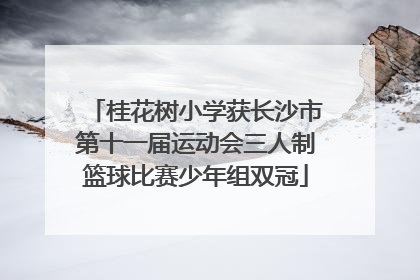 桂花树小学获长沙市第十一届运动会三人制篮球比赛少年组双冠