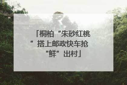 桐柏“朱砂红桃”搭上邮政快车抢“鲜”出村