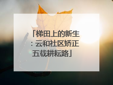 梯田上的新生：云和社区矫正五载耕耘路