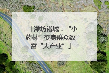 潍坊诸城：“小药材”变身群众致富“大产业”