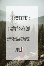 澄江市：民营经济创造发展新成果