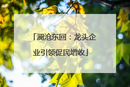 澜沧东回：龙头企业引领促民增收
