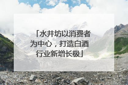 水井坊以消费者为中心，打造白酒行业新增长极