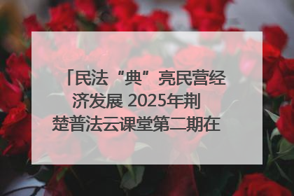 民法“典”亮民营经济发展 2025年荆楚普法云课堂第二期在武汉客厅开讲