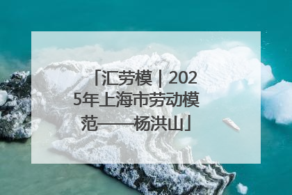 汇劳模｜2025年上海市劳动模范——杨洪山