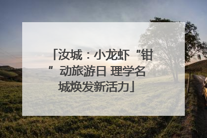 汝城：小龙虾“钳”动旅游日 理学名城焕发新活力