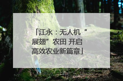 江永：无人机“展翅”农田 开启高效农业新篇章