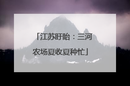 江苏盱眙：三河农场夏收夏种忙