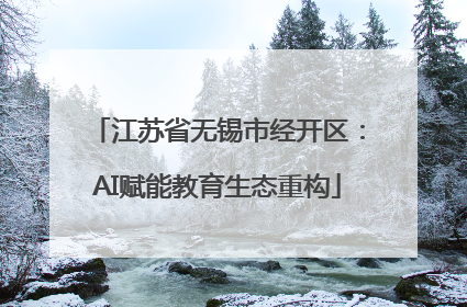 江苏省无锡市经开区：AI赋能教育生态重构