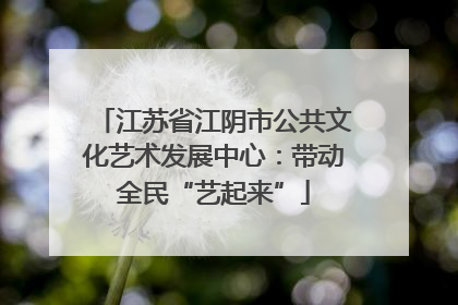 江苏省江阴市公共文化艺术发展中心：带动全民“艺起来”