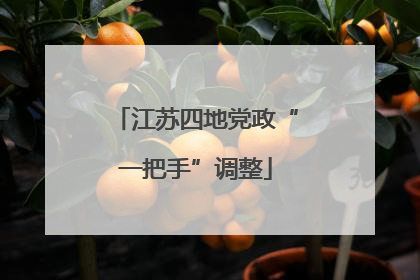 江苏四地党政“一把手”调整