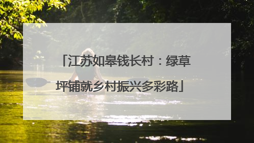 江苏如皋钱长村：绿草坪铺就乡村振兴多彩路