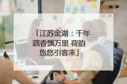 江苏金湖：千年藕香飘万里 荷韵悠悠引客来