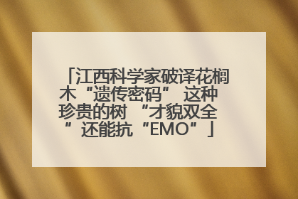 江西科学家破译花榈木“遗传密码” 这种珍贵的树 “才貌双全”还能抗“EMO”