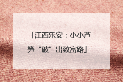 江西乐安：小小芦笋“破”出致富路