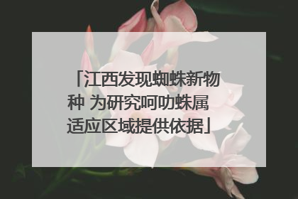 江西发现蜘蛛新物种 为研究呵叻蛛属适应区域提供依据