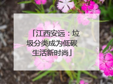 江西安远：垃圾分类成为低碳生活新时尚