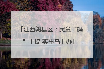 江西赣县区：民意“码”上提 实事马上办