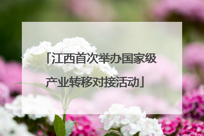 江西首次举办国家级产业转移对接活动