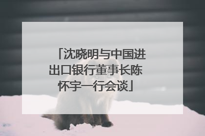 沈晓明与中国进出口银行董事长陈怀宇一行会谈