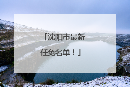 沈阳市最新任免名单！