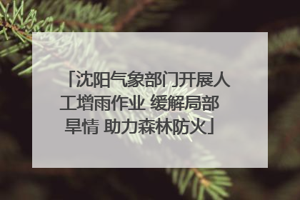 沈阳气象部门开展人工增雨作业 缓解局部旱情 助力森林防火