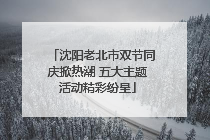 沈阳老北市双节同庆掀热潮 五大主题活动精彩纷呈