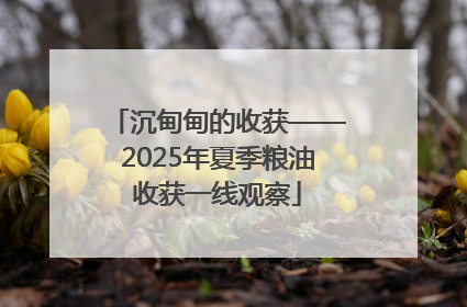 沉甸甸的收获——2025年夏季粮油收获一线观察