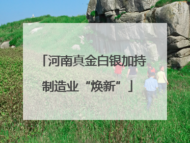 河南真金白银加持制造业“焕新”