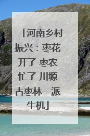 河南乡村振兴：枣花开了 枣农忙了 川塬古枣林一派生机