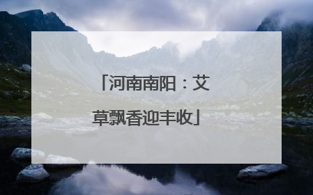河南南阳：艾草飘香迎丰收