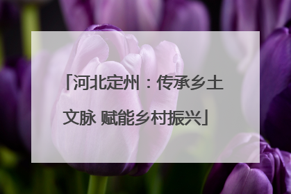 河北定州：传承乡土文脉 赋能乡村振兴
