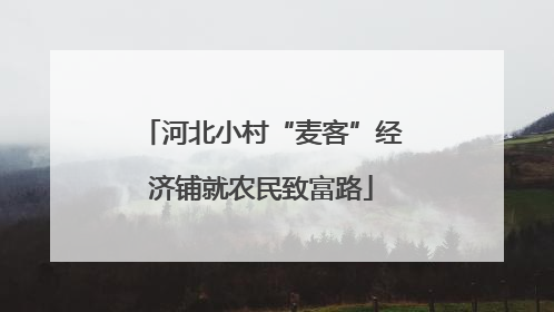 河北小村“麦客”经济铺就农民致富路
