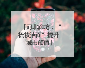 河北廊坊：“梳妆洁面”提升城市颜值