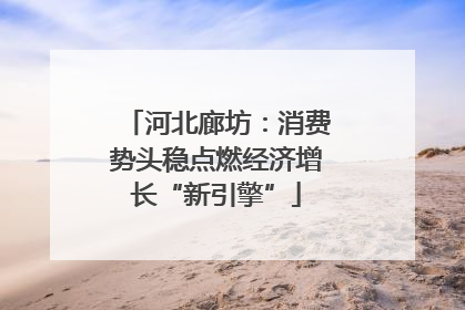 河北廊坊：消费势头稳点燃经济增长“新引擎”