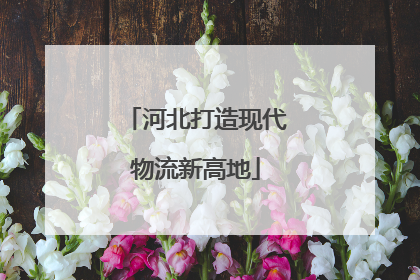河北打造现代物流新高地