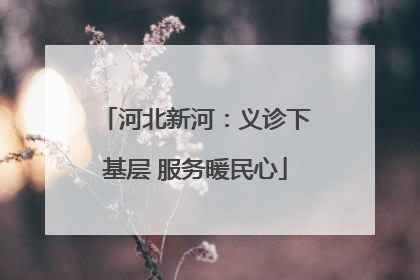 河北新河：义诊下基层 服务暖民心