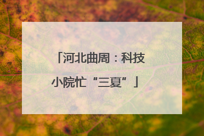 河北曲周：科技小院忙“三夏”