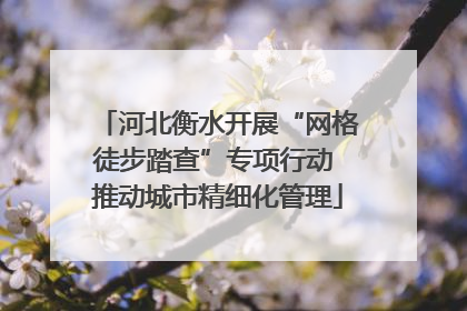 河北衡水开展“网格徒步踏查”专项行动 推动城市精细化管理