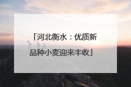 河北衡水：优质新品种小麦迎来丰收