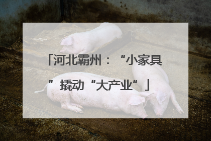 河北霸州：“小家具”撬动“大产业”