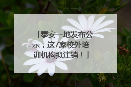 泰安一地发布公示，这7家校外培训机构拟注销！