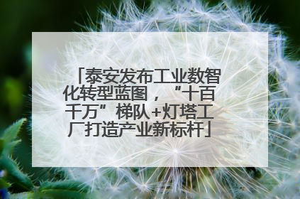 泰安发布工业数智化转型蓝图，“十百千万”梯队+灯塔工厂打造产业新标杆